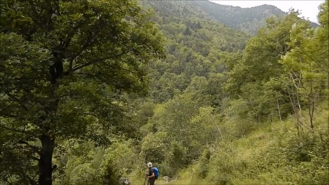 Ruta por el Bosc de Carlac desde Les. Valle de Arán смотреть онлайн