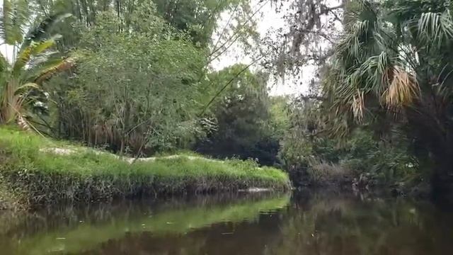 Kayak Manatee County - Gamble Creek - 2021-04-25 смотреть онлайн