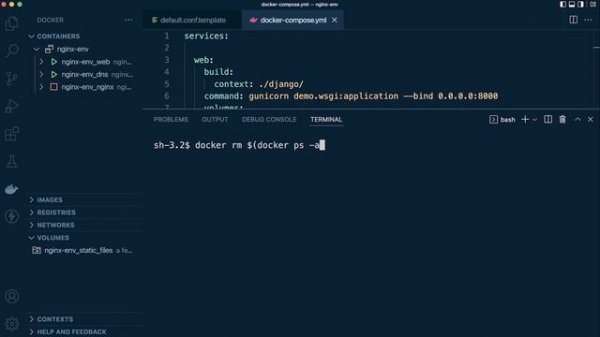 Docker Stop All Containers | Remove all Images and Volumes