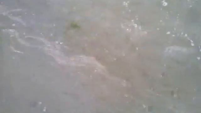 Проницательность. Смотреть Всем! смотреть онлайн