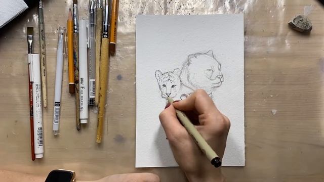 Как нарисовать тигра. Тигр акварелью. Скетчинг для новичков. Акварельные рисунки. смотреть онлайн