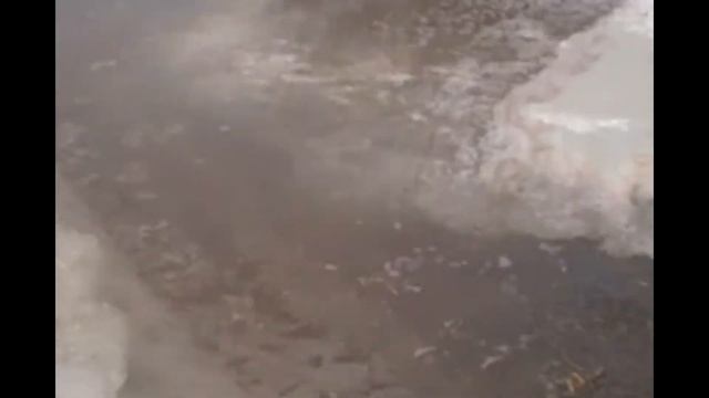 Весенний паводок 2021