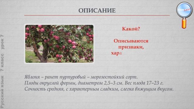 Русский язык 7 класс (Урок№7 - Текст) смотреть онлайн