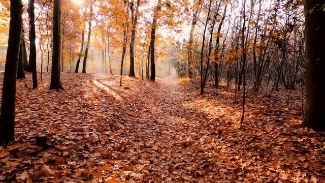 Магнитные бури в декабре 2021 года. Прогноз  календарь магнитных бурь