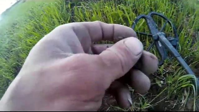 В поисках золота, и опять коп в згоревшей деревне