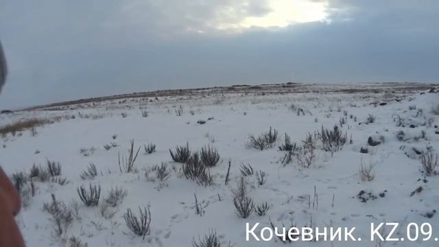 Охота на зайца-русака. Славная была Охота !!! смотреть онлайн