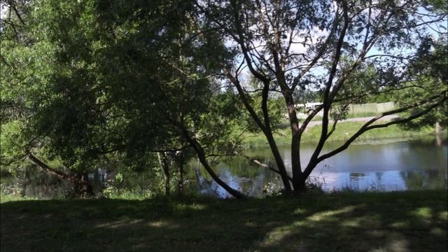 Выборг, 17.06.2015 смотреть онлайн