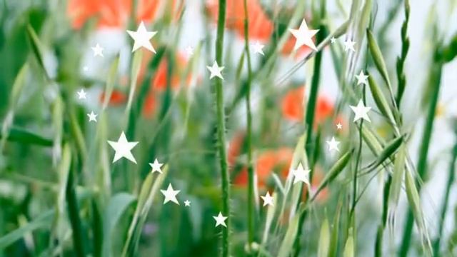 С Днем Рождения ЖЕНЯ.mpg смотреть онлайн