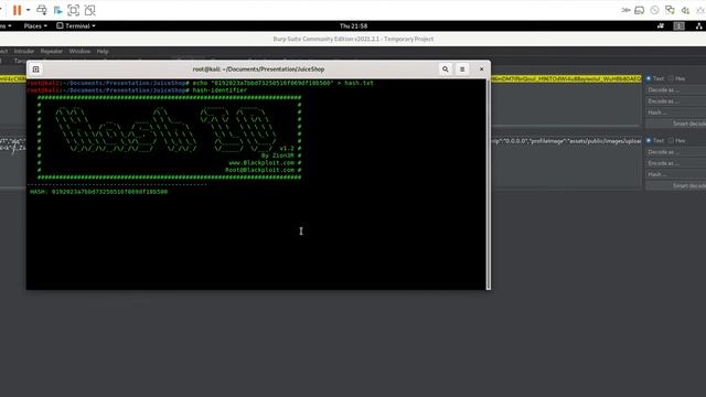 OWASP Juice Shop - JWT Token