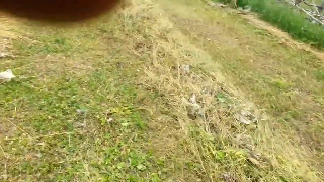 Мтз 50 и грабли-солнышко на сгребание смотреть онлайн