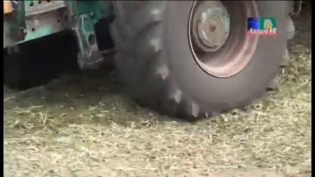 Заготовка кормов