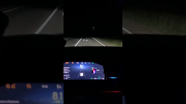 Как светит Jaecoo J7 #automobile #обзор #свет #ночь смотреть онлайн