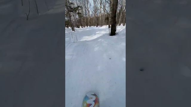 Катание по лесу…. #зима #сноубординг #тренер #рек #лайк #сахалин смотреть онлайн