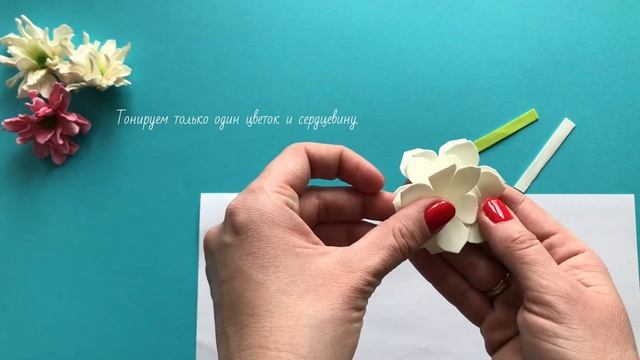 Хризантема из фоамирана своими руками. Фоамиран. Цветы из фоамирана. Мастер класс из фоамирана. смотреть онлайн