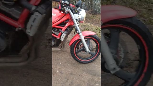 suzuki bandit gsf 250vs смотреть онлайн
