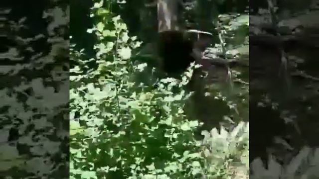 28.07.20 Военно-патриотические сборы СК «Первый-Легион» ст.Ставропольская, Лазертаг