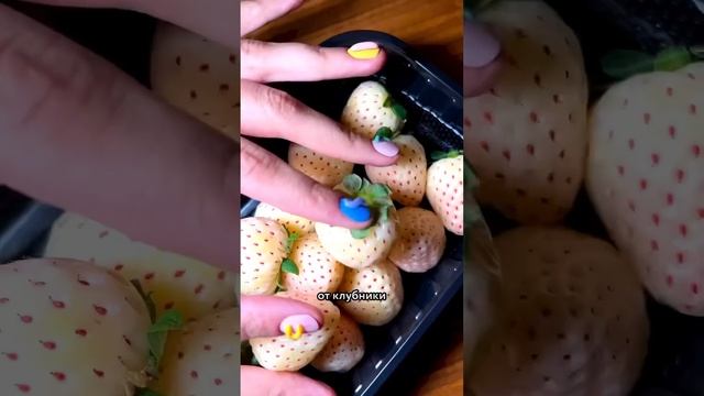 ? Пробуем белую клубнику со вкусом ананаса смотреть онлайн