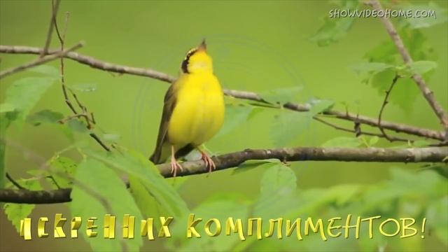 Оригинальная необычная видео открытка/видеопоздравление с Днем рождения №6 смотреть онлайн