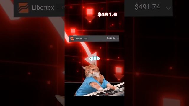 $1000 BILAN 30 KUN TREYDING QILDIM! Necha Pul Topdim?