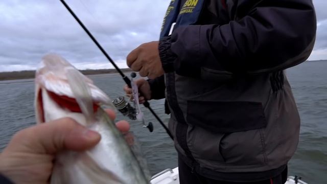 Рыбалка с чемпионами России по ловле спиннингом с лодок Сергеем Жмур и Сергеем Карповым смотреть онлайн