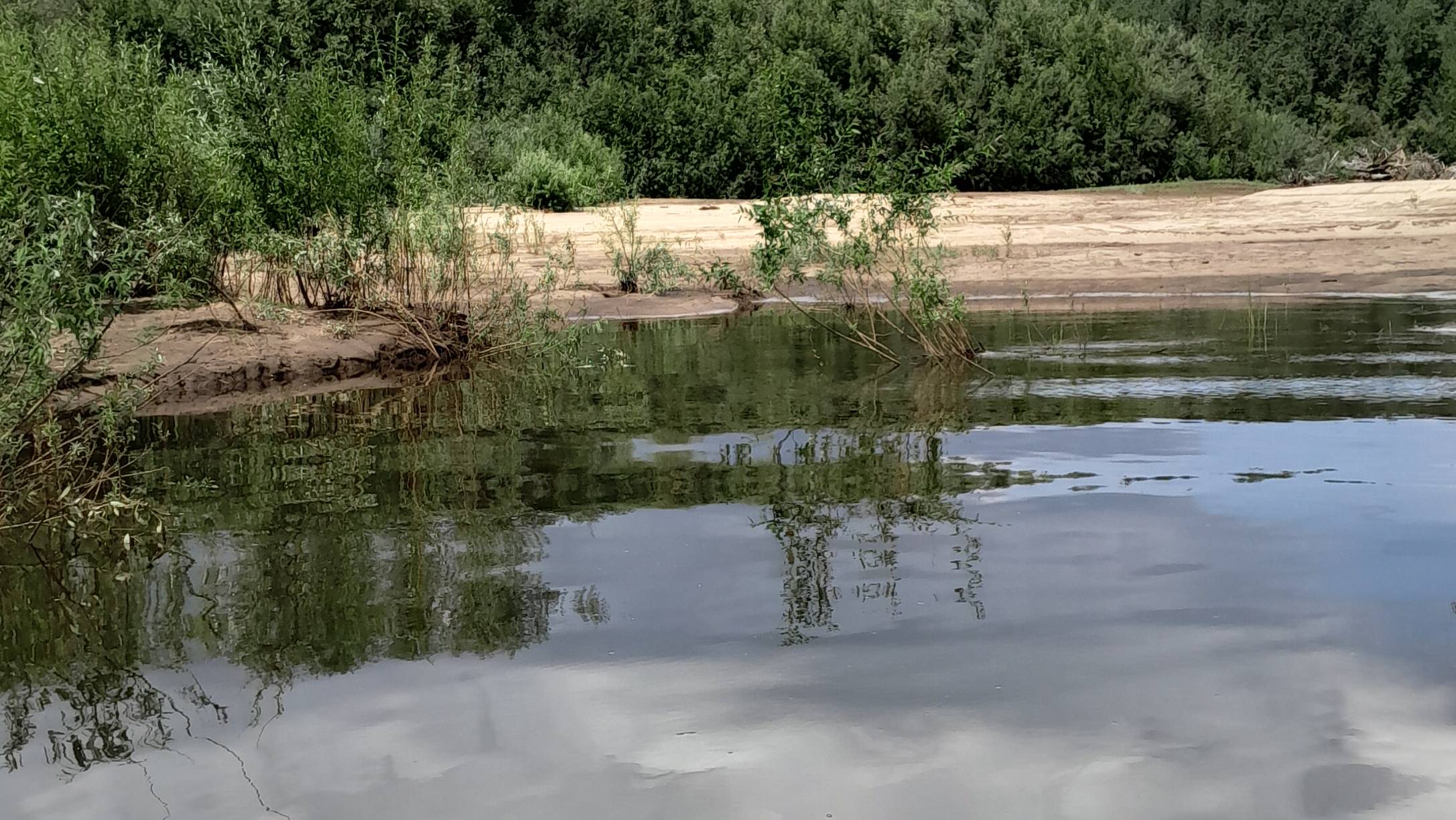 🎣ДРОВА ДРОВИШКИ РЫБАЦКИЕ ДЕЛИШКИ🎣 смотреть онлайн