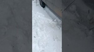 АМЕРИКАНСКИЙ ФОРД Ф 250 НА БЕЗДОРОЖЬЕ..