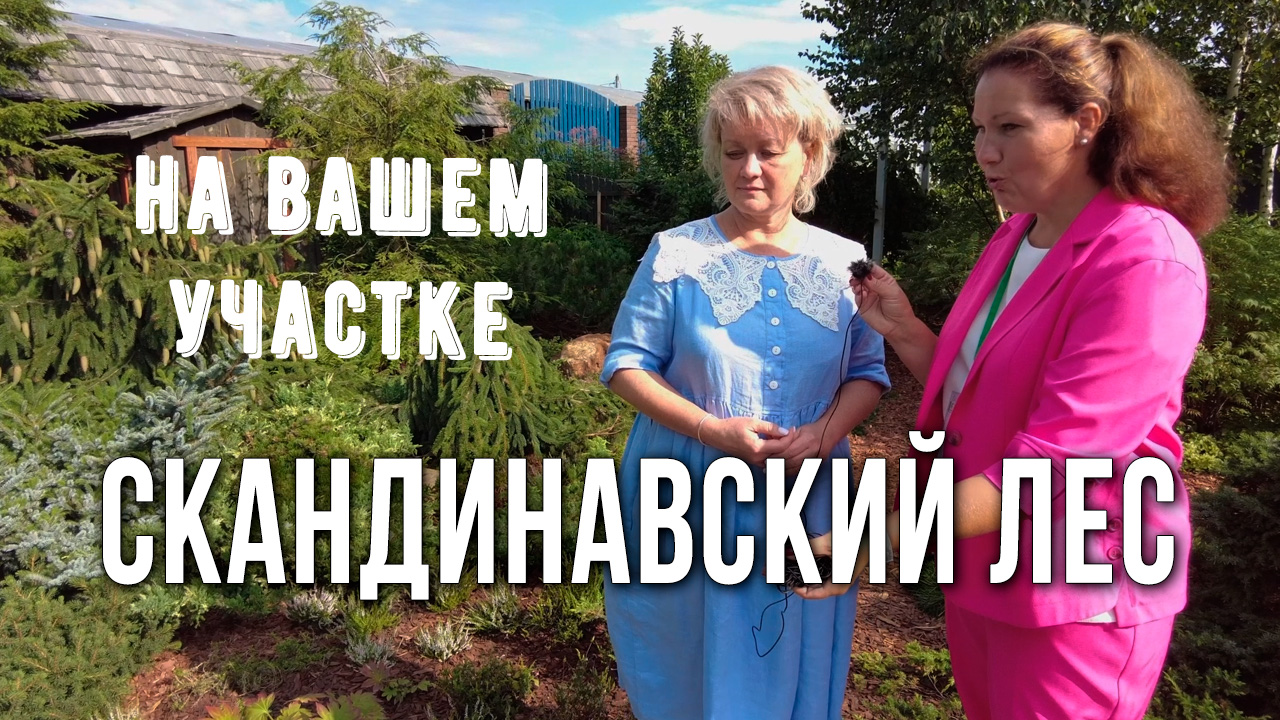 Создание ландшафтного дизайна с использованием хвойных растений. Скандинавский ландшафтный дизайн.