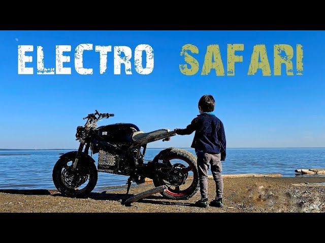 электро сафари по берегу смотреть онлайн