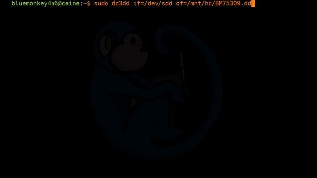 LCL 17 - imaging and verification tools: dd, dc3dd, md5sum - Linux Command Line tutorial forensics смотреть онлайн