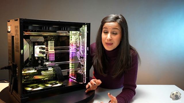Andie the Lab: FLUID GAMING PC for SIM RACING смотреть онлайн