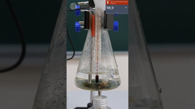 Температура кипения воды смотреть онлайн