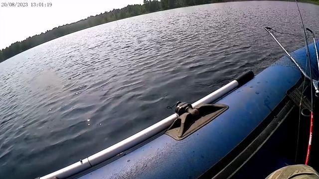 Интересный водоём (1) - разведка при "заломе" погоды!