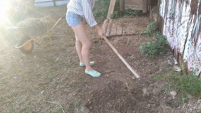 Лошадь чувствует себя .... смотреть онлайн