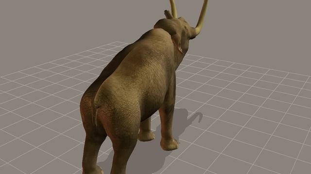 Elephant into Columbian Mammoth 3D body morph смотреть онлайн
