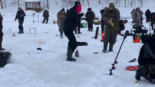 Рыбалка в Красногорске.BigCarp.Ловля форели.Рыбалка на платнике.Беседки,отдых,рыбалка,досуг смотреть онлайн