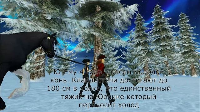 ПОДАРОК НА НГ В SSO НОВАЯ ЛОШАДЬ КВОРОНОЙ КЛАЙДЕСТАЛЬ смотреть онлайн