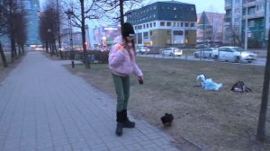 Сложный День для Эли Афф / Я чуть не ЗАПЛАКАЛА/ Первый раз ГУЛЯЕТ и Ветеринар