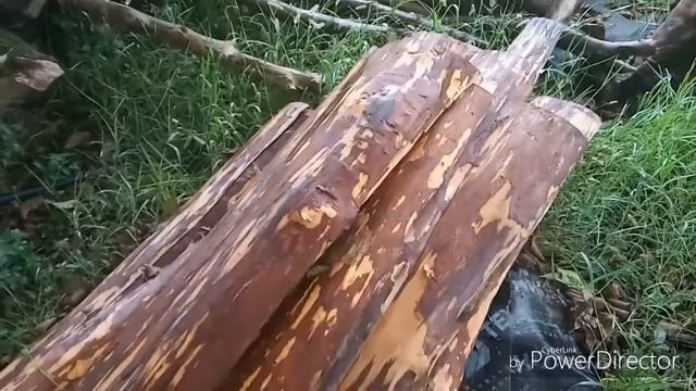 Живая Изба 11 из горбыля смотреть онлайн