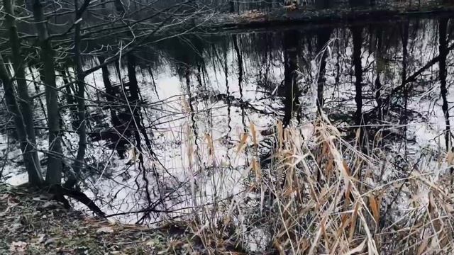 VID 20221115 174724 Одинокий лицедей 1922 (В. Хлебников)...Павел Васильев Лахтинский смотреть онлайн