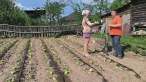 Табак сажать закончили. Побаловали себя шашлыком. Наша жизнь в деревне