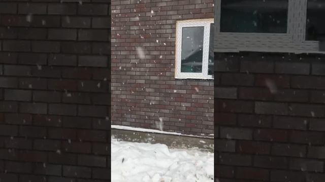 Халберг технониколь смотреть онлайн