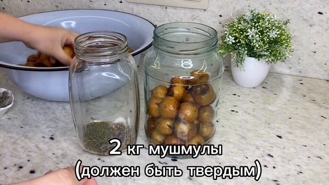 ВЫ НИКОГДА НЕ ЕЛИ ЭТОЙ ВКУСНЯТИНЫ! Заготовка на зиму! Əzgilin Duza Qoyulması смотреть онлайн