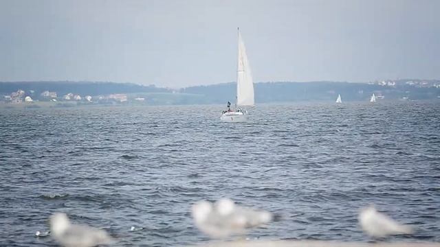 Яхтенный корпоратив Экскаватор.ру на Минском море смотреть онлайн