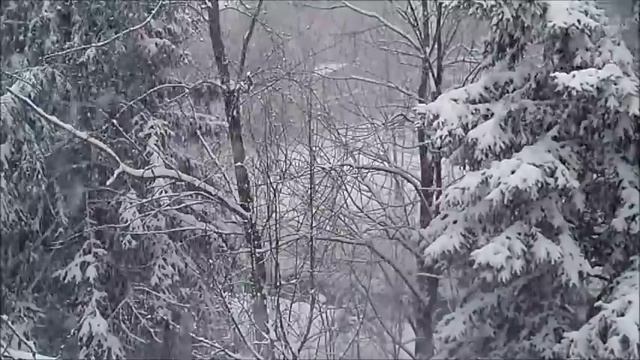 АС Пушкин. Метель. Читает Алексей Баталов смотреть онлайн