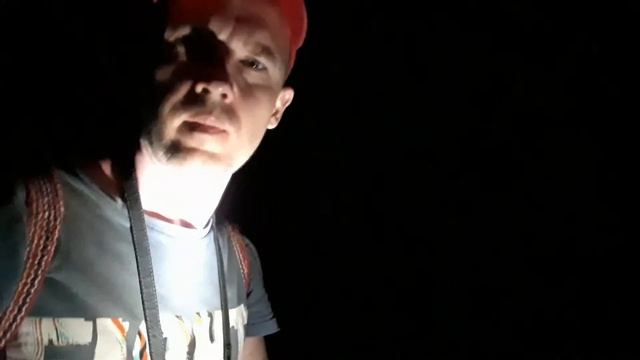 Зачем термиты бьются головой о землю? Слушаем термитов-солдат в парке Кат Тьен, Вьетнам. Cat Tien. смотреть онлайн