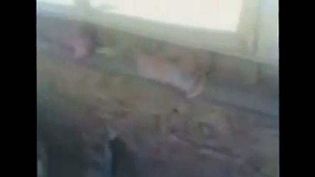 Балкон. Утепление.