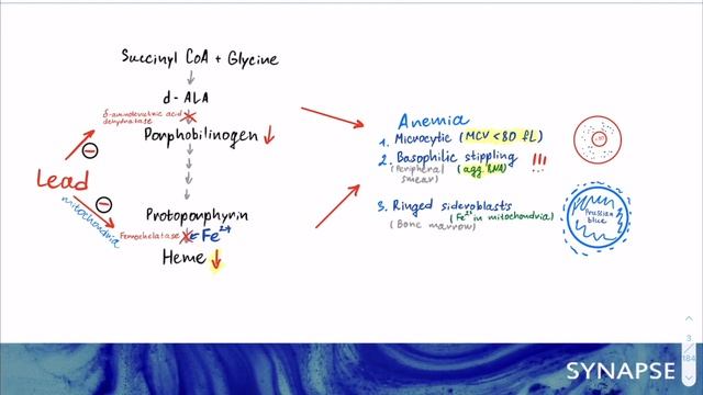 USMLE Step 1 - Lead poisoning смотреть онлайн