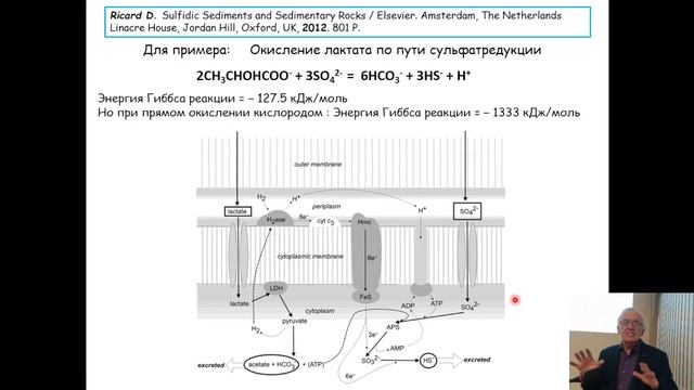 Заседание №1369. Минералогический семинар СО РМО.