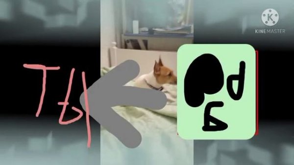 Rbx tree проверка 1 часть