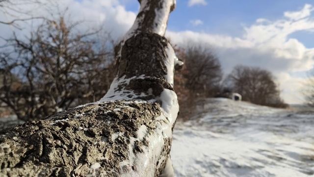 Январский денëк
